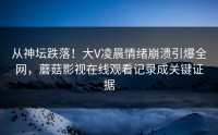 从神坛跌落！大V凌晨情绪崩溃引爆全网，蘑菇影视在线观看记录成关键证据