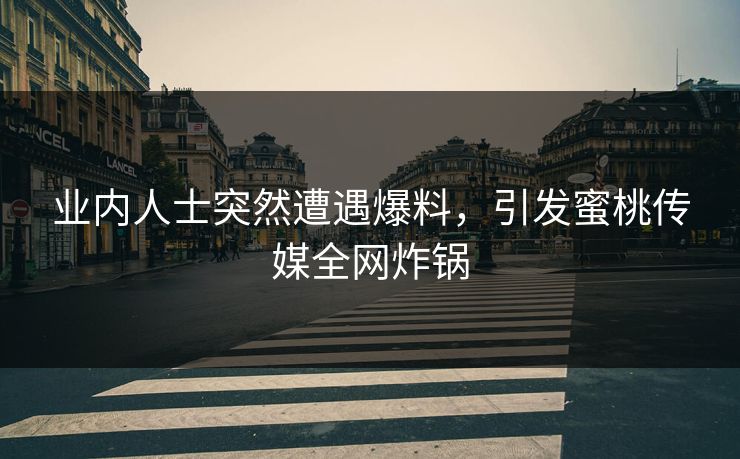 业内人士突然遭遇爆料,引发蜜桃传媒全网炸锅 业内人士突然遭遇爆料,引发蜜桃传媒全网炸锅