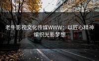 老牛影视文化传媒WWW：以匠心精神编织光影梦想