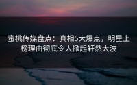蜜桃传媒盘点：真相5大爆点，明星上榜理由彻底令人掀起轩然大波