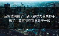 我突然明白了：别人都以为我关掉手机了，其实我在突然鼻子一酸