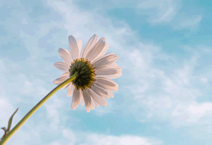 评论区炸了17c网页版视频教程的清理空间被曝出新规则这一步你做对了吗？