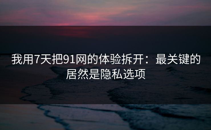 我用7天把91网的体验拆开:最关键的居然是隐私选项 我用7天把91网的体验拆开:最关键的居然是隐私选项
